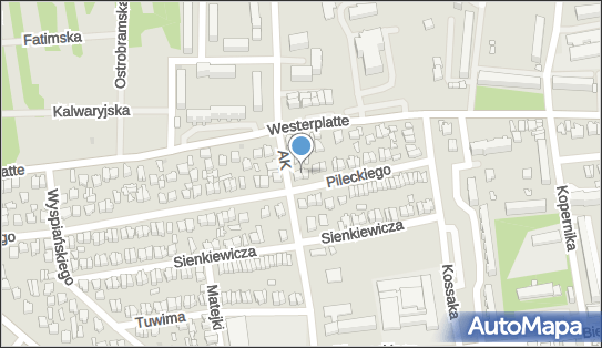 DPD Pickup Automaty, pon-ndz 00:00-24:00, Opoczno, godziny otwarcia