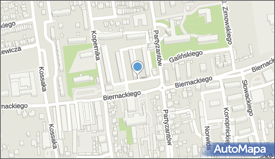 DPD Pickup Automaty, pon-ndz 00:00-24:00, Opoczno, godziny otwarcia