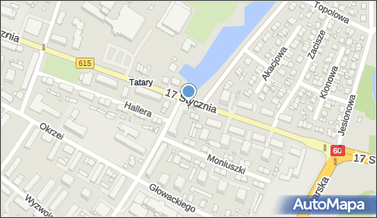 DPD Pickup Automaty, pon-ndz 00:00-24:00, Ciechanów, godziny otwarcia