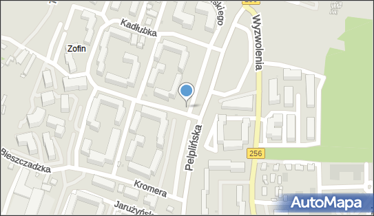 DPD Pickup Automaty, pon-ndz 00:00-24:00, Bydgoszcz, godziny otwarcia