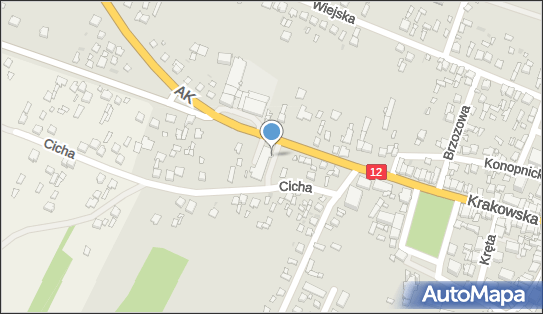DPD Pickup Automaty, pon-ndz 00:00-24:00, Przysucha, godziny otwarcia