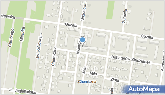 DPD Pickup Automaty, pon-ndz 00:00-24:00, Pionki, godziny otwarcia