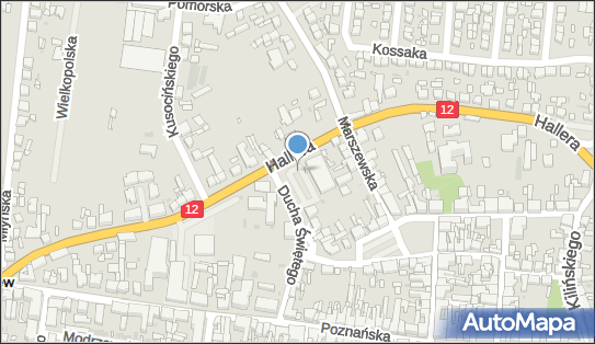 DPD Pickup Automaty, pon-ndz 00:00-24:00, Pleszew, godziny otwarcia