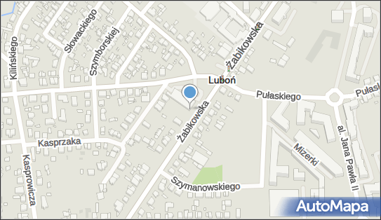 DPD Pickup Automaty, pon-ndz 00:00-24:00, Luboń, godziny otwarcia