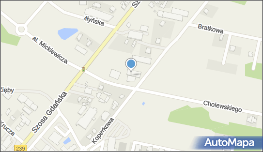 DPD Pickup Automaty, pon-ndz 00:00-24:00, Osielsko, godziny otwarcia