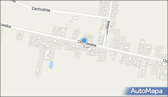 DPD Pickup Automaty, Ostrowska 6a, Sieroszewice 63-405, godziny otwarcia