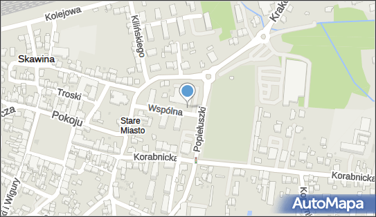 DPD Pickup Automaty, pon-ndz 00:00-24:00, Skawina, godziny otwarcia
