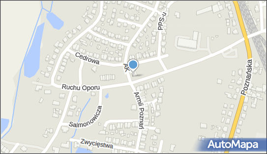 DPD Pickup Automaty, pon-ndz 00:00-24:00, Kępno, godziny otwarcia