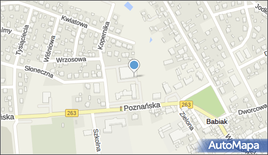 DPD Pickup Automaty, pon-ndz 00:00-24:00, Babiak, godziny otwarcia
