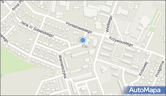 DPD Pickup Automaty, pon-ndz 00:00-24:00, Pleszew, godziny otwarcia