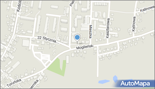 DPD Pickup Automaty, pon-ndz 00:00-24:00, Trzemeszno, godziny otwarcia