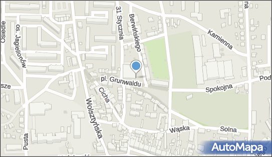 DPD Pickup Automaty, pon-ndz 00:00-24:00, Wschowa, godziny otwarcia