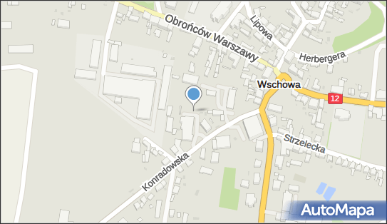 DPD Pickup Automaty, pon-ndz 00:00-24:00, Wschowa, godziny otwarcia
