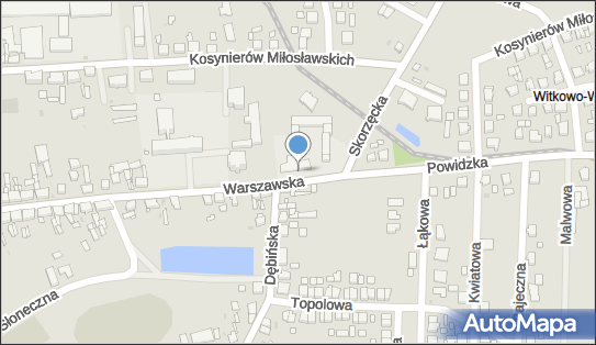 DPD Pickup Automaty, pon-ndz 00:00-24:00, Witkowo, godziny otwarcia