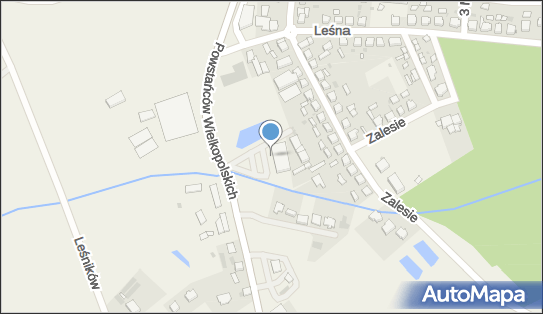 DPD Pickup Automaty, pon-ndz 00:00-24:00, Włoszakowice, godziny otwarcia