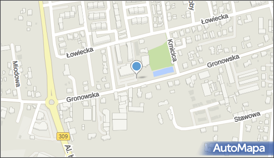 DPD Pickup Automaty, pon-ndz 00:00-24:00, Leszno, godziny otwarcia