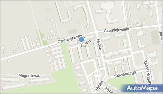 DPD Pickup Automaty, pon-ndz 00:00-24:00, Witkowo, godziny otwarcia