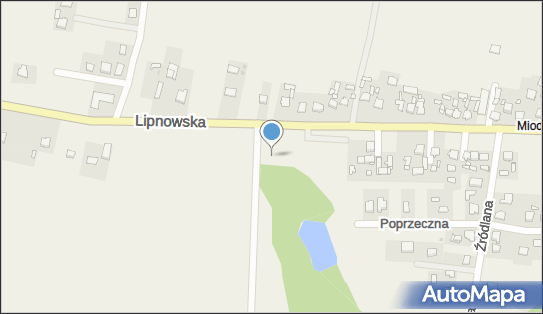 DPD Pickup Automaty, pon-ndz 00:00-24:00, Wielgie, godziny otwarcia