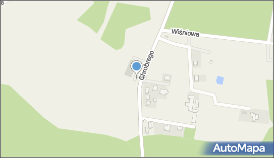 DPD Pickup Automaty, pon-ndz 00:00-24:00, Wilkszyn, godziny otwarcia