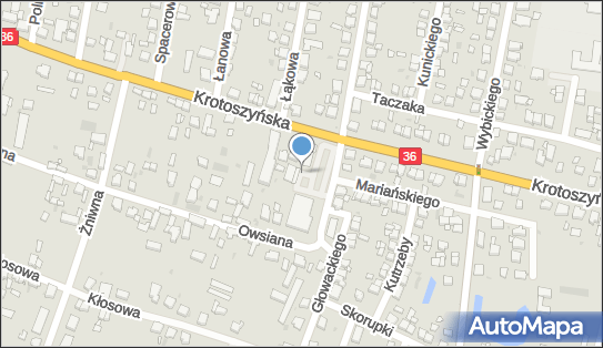 DPD Pickup Automaty, pon-ndz 00:00-24:00, Ostrów Wielkopolski, godziny otwarcia
