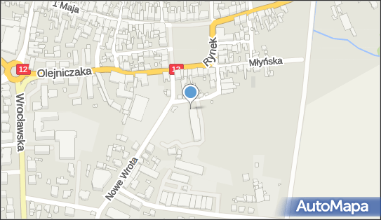 DPD Pickup Automaty, pon-ndz 00:00-24:00, Gostyń, godziny otwarcia
