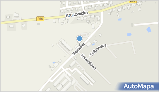 DPD Pickup Automaty, pon-ndz 00:00-24:00, Radziejów, godziny otwarcia