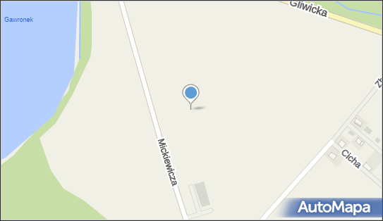 DPD Pickup Automaty, Mickiewicza Adama, Bierawa 47-240, godziny otwarcia