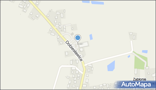 DPD Pickup Automaty, pon-ndz 00:00-24:00, Dobiesławice, godziny otwarcia