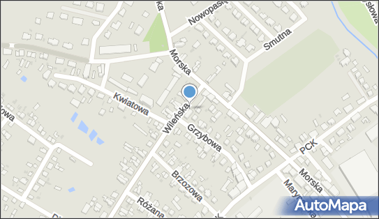 DPD Pickup Punkty, WILEŃSKA 1A, Braniewo 14-500, godziny otwarcia