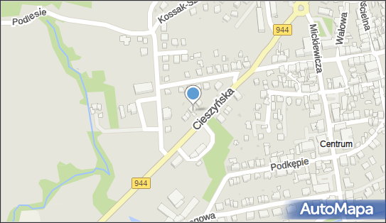 DPD Pickup Punkty, CIESZYŃSKA 26, Skoczów 43-430, godziny otwarcia