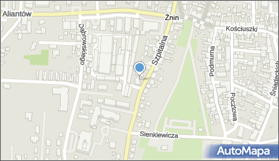 DPD Pickup Punkty, SZPITALNA 20, Żnin 88-400, godziny otwarcia