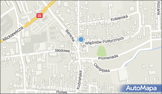 DPD Pickup Punkty, KOŹMIŃSKA 28/1, Krotoszyn 63-700, godziny otwarcia