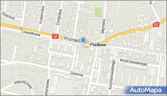 DPD Pickup Punkty, POZNAŃSKA 65, Pleszew 63-300, godziny otwarcia