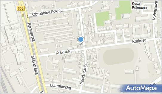 DPD Pickup Punkty, POPRZECZNA 28, Elbląg 82-300, godziny otwarcia