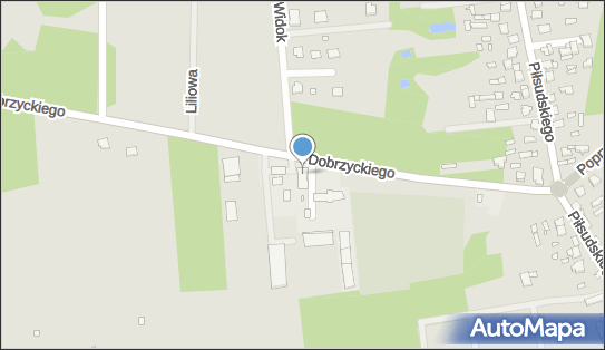 DPD Pickup Punkty, DOBRZYCKIEGO 5, Cegłów 05-319, godziny otwarcia