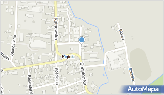 DPD Pickup Punkty, RYNEK 18, Piątek 99-120, godziny otwarcia