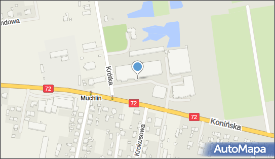 DPD Pickup Punkty, Konińska 24 - automat paczkowy, Turek 62-700, godziny otwarcia