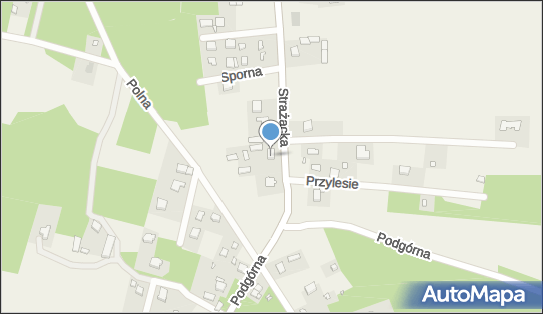 DPD Pickup Punkty, STRAŻACKA 5, Kania Góra 95-100, godziny otwarcia