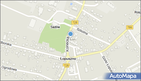 DPD Pickup Punkty, RYNEK 1, Łopuszno 26-070, godziny otwarcia