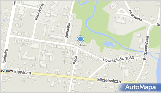DPD Pickup Punkty, POWSTAŃCÓW 1863 R. 36, Suchedniów 26-130, godziny otwarcia