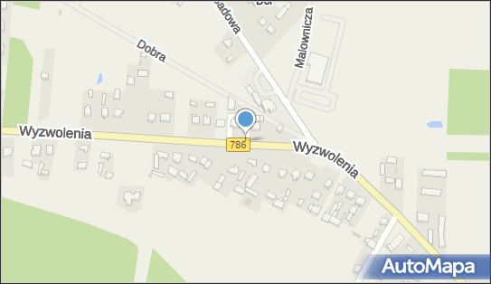 DPD Pickup Punkty, WYZWOLENIA 22, Wancerzów 42-244, godziny otwarcia