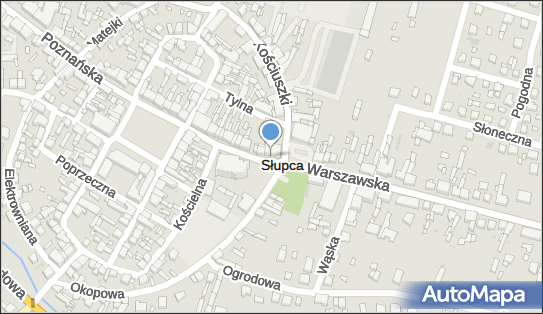 DPD Pickup Punkty, WARSZAWSKA 19, Słupca 62-400, godziny otwarcia