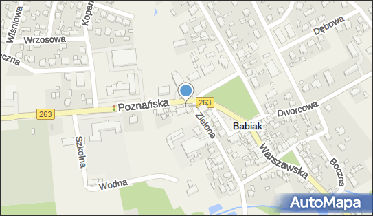 DPD Pickup Punkty, ZIELONA 1, Babiak 62-620, godziny otwarcia