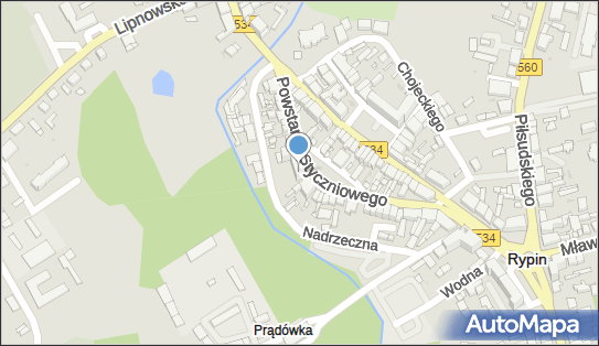 DPD Pickup Punkty, POWSTANIA STYCZNIOWEGO 20, Rypin 87-500, godziny otwarcia