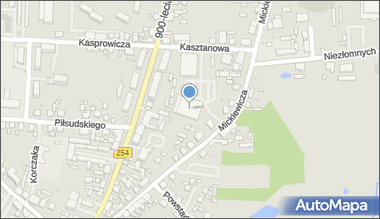 DPD Pickup Punkty, MICKIEWICZA 23A, Mogilno 88-300, godziny otwarcia