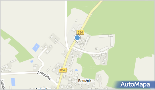 DPD Pickup Punkty, Antoniów 111, Radomyśl nad Sanem 37-455, godziny otwarcia