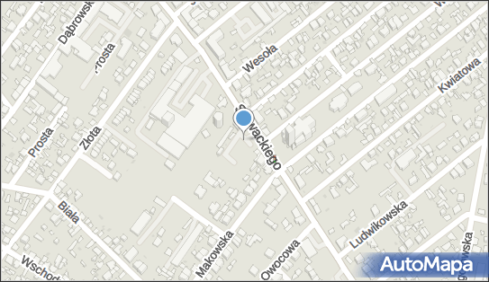 DPD Pickup Punkty, Słowackiego 110, Radom 26-600, godziny otwarcia