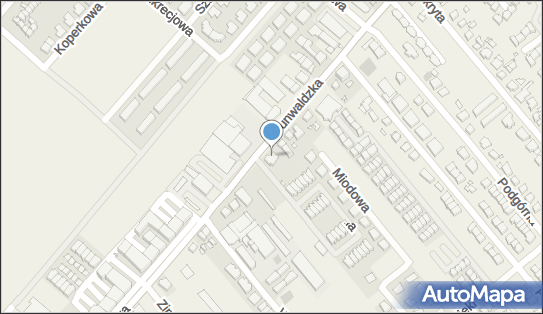 DPD Pickup Punkty, Grunwaldzka 528- automat paczkowy, Plewiska 62-064, godziny otwarcia