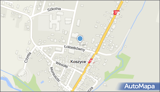 DPD Pickup Punkty, Łokietkówny 10, Koszyce 32-130, godziny otwarcia