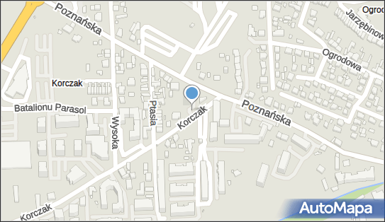 DPD Pickup Punkty, Korczak 3, Kalisz 62-800, godziny otwarcia